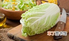 白菜炖干豆腐家常做法 怎么做白菜炖干豆腐