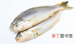 碳锅鱼的做法配方 碳锅鱼怎么做