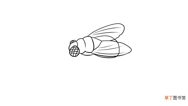 苍蝇简笔画画法苍蝇简笔画怎么画