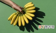 香蕉的种植方法 香蕉怎么种植好呢