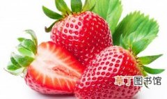 草莓要怎么种植方法 怎么种草莓