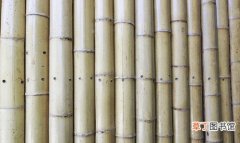 用竹子可以做墙面吗