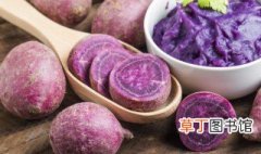 紫薯种植方法 紫薯如何种植