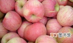 红富士苹果介绍 红富士苹果形态特征