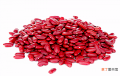 红腰豆的五种做法 红腰豆的做法大全
