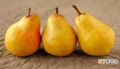 梨子有哪些营养及功效 梨有什么营养价值呢