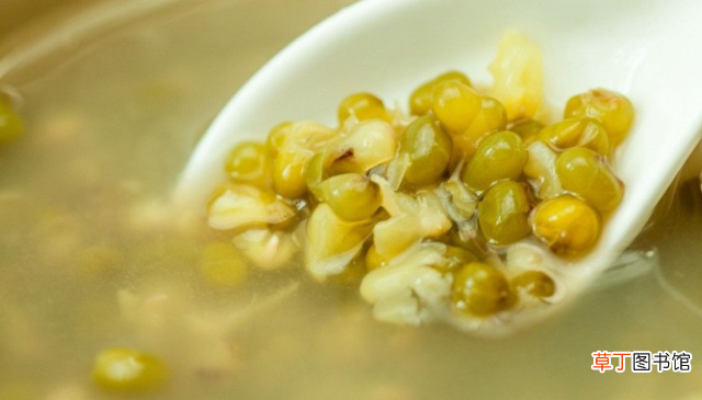 煮绿豆汤的正确方法步骤 熬绿豆汤需要提前泡绿豆吗