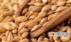 小麦白穗的原因及防治方法 小麦白穗的原因及怎么防治