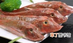 红娘子鱼怎么做好吃 红娘子鱼好吃的家常做法