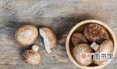种植香菇需要什么条件 香菇的种植方法和注意细节