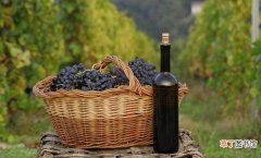 红酒和葡萄酒的4个区别 葡萄酒和红酒的区别是什么呢