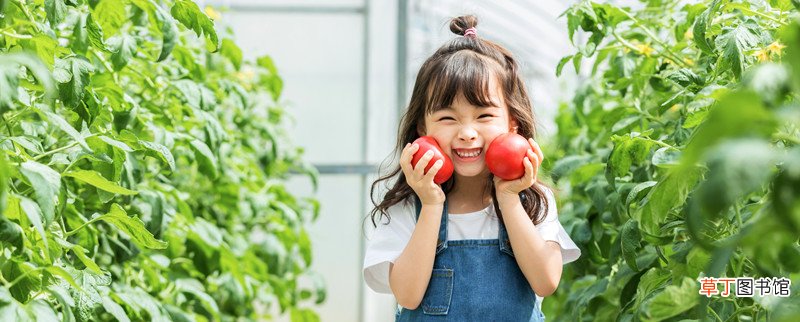 如何引导幼儿认识蔬菜 怎么教宝宝认识蔬菜