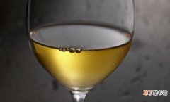 干白葡萄酒相关介绍 干白葡萄酒的功效与作用是什么