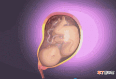 超真实孕妇生产过程3D动图 生孩子的真实过程是怎么样的