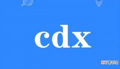 cdx梗什么意思 cdx交友是什么意思