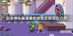 《忍者神龟施莱德的复仇》有中文吗？游戏支持语言介绍