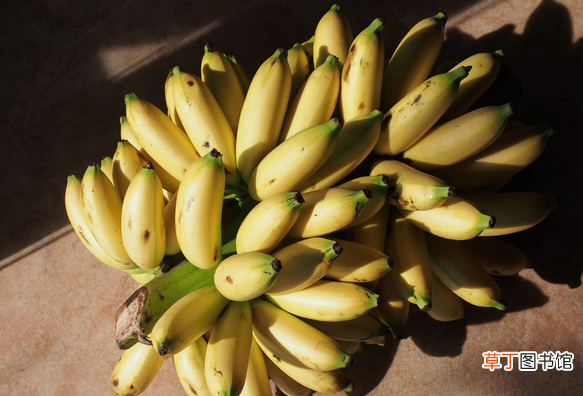 皇帝蕉价格多少钱一斤 帝王蕉和普通香蕉区别