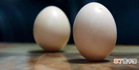 竖蛋的原理解释 鸡蛋立起来的原理