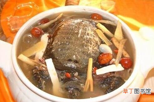 甲鱼汤的做法教程 甲鱼是凉性还是热性