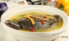 甲鱼汤的做法教程 甲鱼是凉性还是热性
