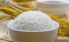 白米和糙米营养价值对比 糙米饭和白米饭的区别