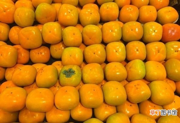 被称为湿气王的4种水果 菠萝蜜属于寒性还是热性水果