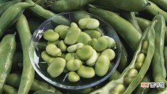 新鲜蚕豆的保存方法 新鲜的蚕豆怎么保存时间长