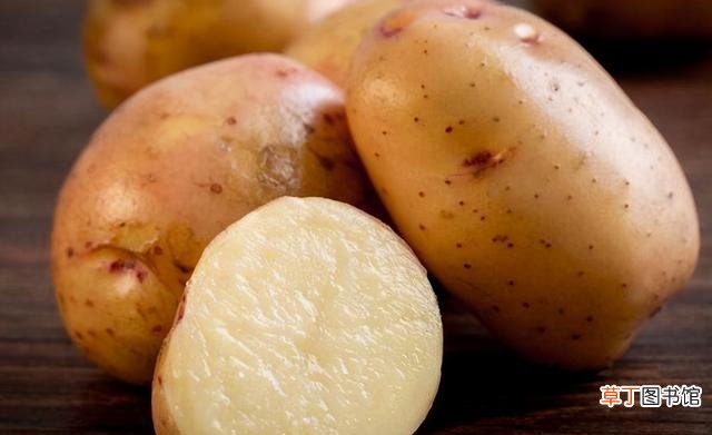 保存土豆牢记3个好方法 土豆怎么保存不长芽