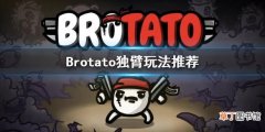 《Brotato》独臂带什么武器？独臂玩法推荐