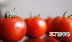 4种方法来催熟西红柿 4种方法来催熟的西红柿