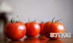 普罗旺斯番茄是转基因的吗 普罗旺斯番茄是不是转基因