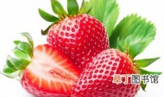 新鲜草莓怎样长时间保存 新鲜草莓保存方法