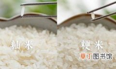 籼米好吃还是粳米好吃 籼米好吃还是粳米好吃解答