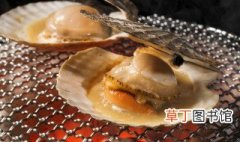 野生大贝壳怎么做好吃 野生大贝壳好吃的制作方法