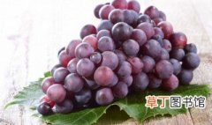 中国葡萄种植始于哪个朝代 中国最早种植葡萄始于哪个朝代
