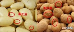 新土豆和翻新土豆的3处不同 新土豆和老土豆区别有哪些
