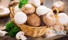 5种方法来保存新鲜蘑菇 新鲜蘑菇5种方法来保存