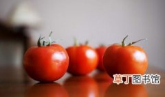 西红柿牛腩汤怎么做 西红柿牛腩汤的烹饪方法