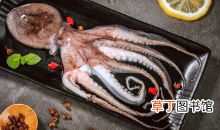 章鱼的做法怎么做好吃 活大章鱼的做法