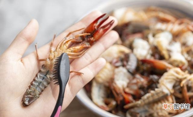 快速清洗小龙虾的正确方法 洗小龙虾最快的方法是什么