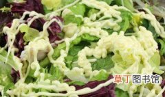 生菜沙拉的做法 生菜沙拉的做法步骤