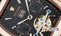tevise是什么牌子手表 tevise是哪个品牌的手表