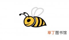 蜜蜂的拼音 蜜蜂的拼音是什么