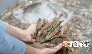 新鲜小河虾怎么做好吃 新鲜小河虾如何做好吃