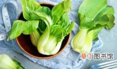 绿白菜怎么做好吃 绿白菜做好吃的方法