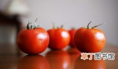 西红柿炖牛腩怎么炖 制作西红柿炖牛腩的方法
