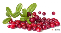 蔓越莓的营养成分及注意事项 蔓越莓的功效与作用是什么
