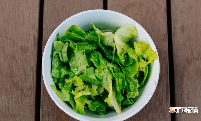 11种富含铁质的蔬菜大盘点 宝宝可以吃的含铁的蔬菜有哪些
