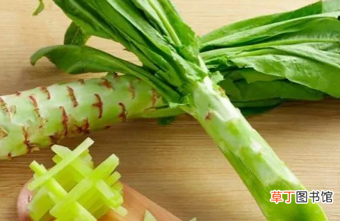 莴苣生菜和油麦菜其实是一家人 莴笋的叶子是油麦菜吗