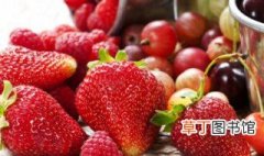 草莓什么季节种植 草莓什么季节种植最好